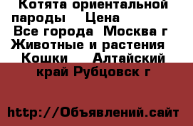 Котята ориентальной пароды  › Цена ­ 12 000 - Все города, Москва г. Животные и растения » Кошки   . Алтайский край,Рубцовск г.